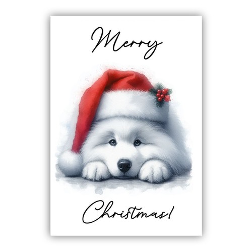Samoyed christmas dog - samoyed,