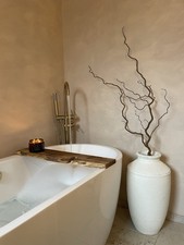 Real dried decorative branch