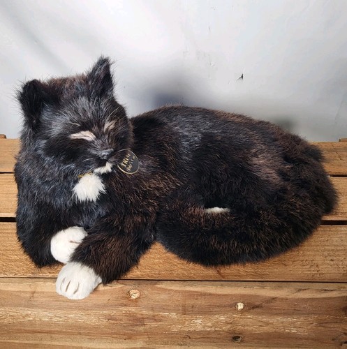 Nauticalia ships cat - ships,