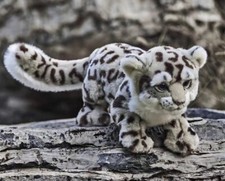 Snow Leopard 12 Inch Plush Toy Stuffed Animal Toy Toddler Doll Gifts