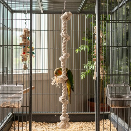 Parrot climbing cotton rope - cotton,