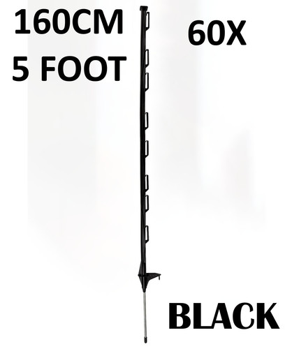 5ft electric - 60,