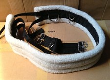 NEW LUNGE LUNGEING BREAKING