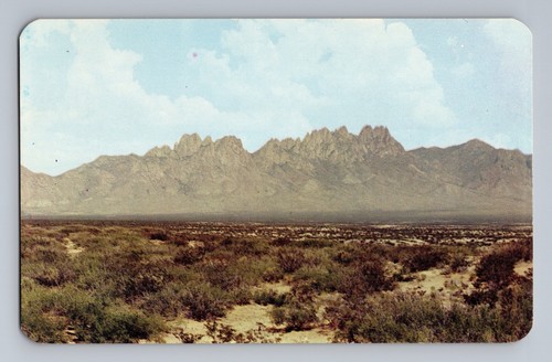 Organ mountains south las - organ,
