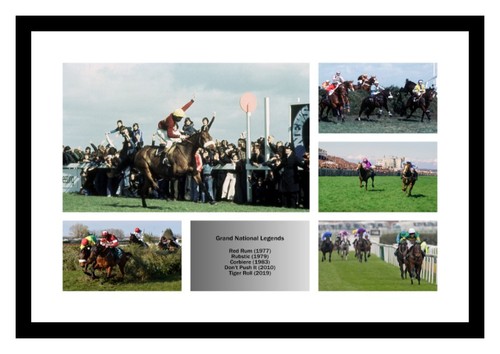 Grand national horse racing - national,