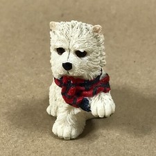 West Highland Terrier Wearing