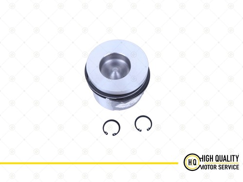 Piston with ring std for - with,