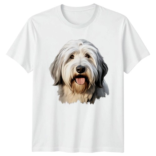 Old english sheepdog - english,