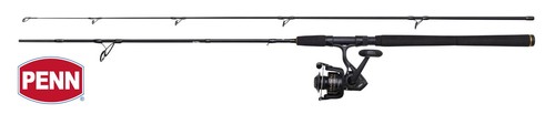 Penn wrath spinning combo - penn, 2