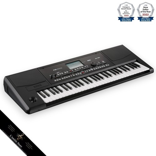 Korg pa300 key professional - korg, 61-key