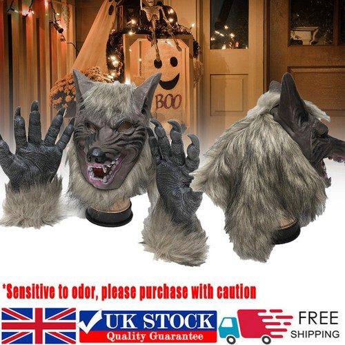 Halloween werewolf wolf grey - halloween,