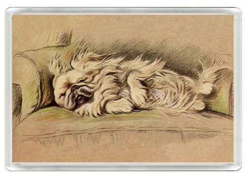 Pekingese dog fridge magnet - dog,