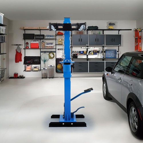 Strut coil spring - strut,