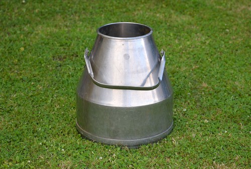 Stainless steel milk churn - stainless,