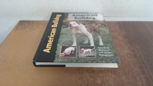 American bulldog pet love - bulldog,
