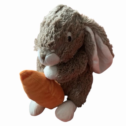 Bunny rabbit plush holding - rabbit,