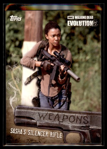 2017 topps walking dead - 2017,