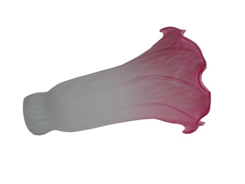 Lily glass with stained - stained,