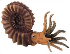 Bullyland large ammonite model