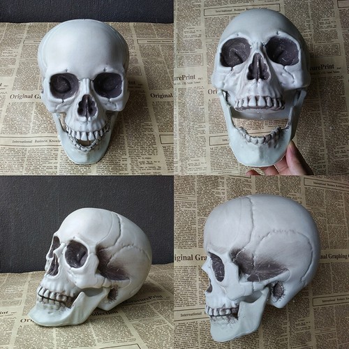 Halloween artificial skull - ,