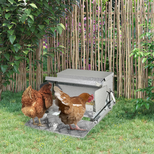 5kg automatic chicken - 11.5kg,