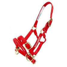 Monty Roberts Dually Halter Small Red Nylon Headcollar with how to use it DVD