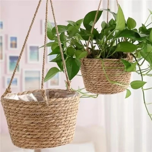 Hanging plant basket - plant, rope