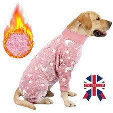 Pet Dog Winter High Collar