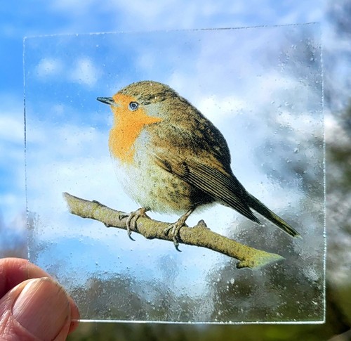 Stained glass robin - stained, bird