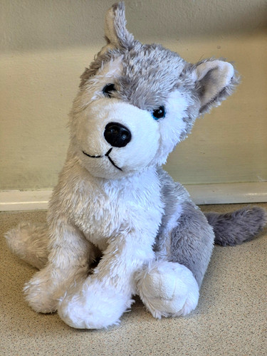 Lovely husky plush toy - lovely,