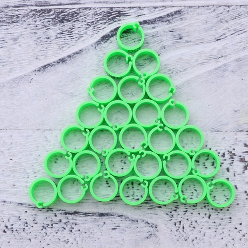 100 pcs pet - pcs, budgie