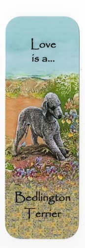 Bedlington terrier dog - terrier,