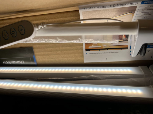Desk lamp with - lamp, dual