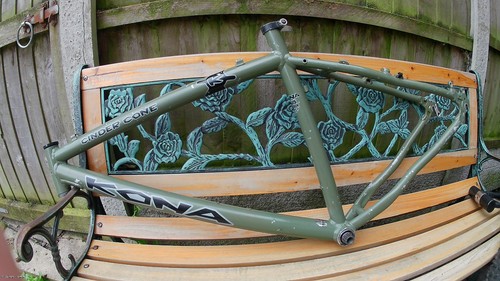 Kona cinder cone - cinder, frame