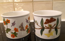 VINTAGE PORTMEIRION BOTANIC