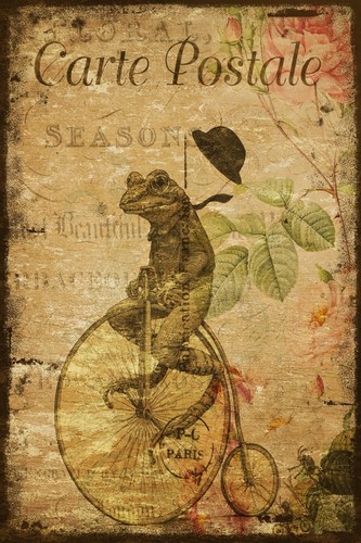 Frog penny farthing - &, bike