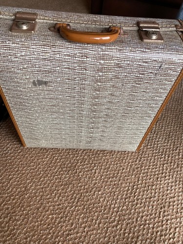 Piano accordion case
