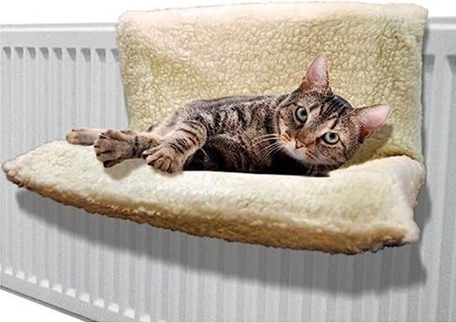 Radiator cat pet bed removable - radiator,