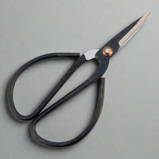 Economy Chinese General