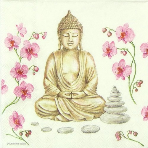 Single paper napkins for - napkins,