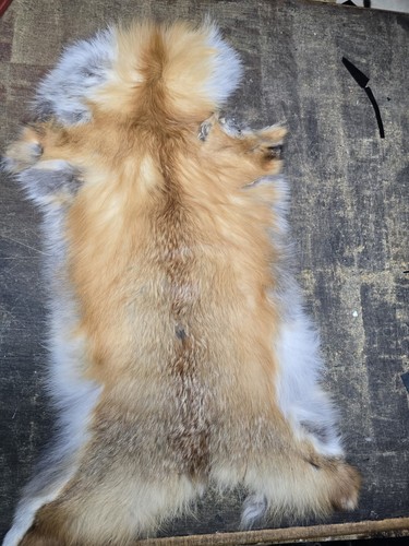 Tanned real red fox skin - tanned,