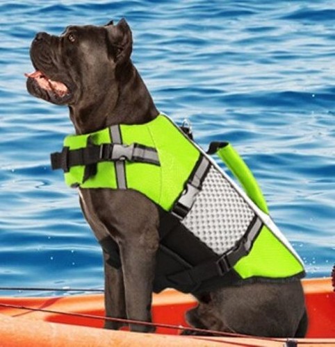 Life jacket small dog - small,