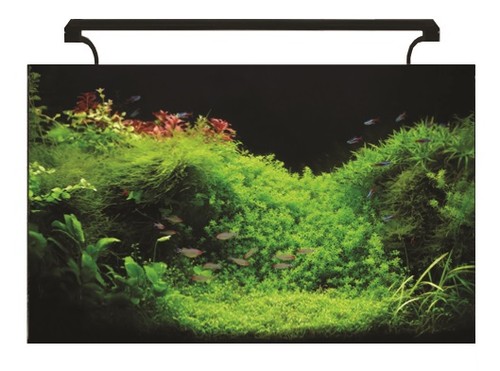 Aqua one aquanano aquariums - one,