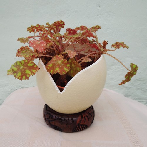Super unique gift - gift, idea