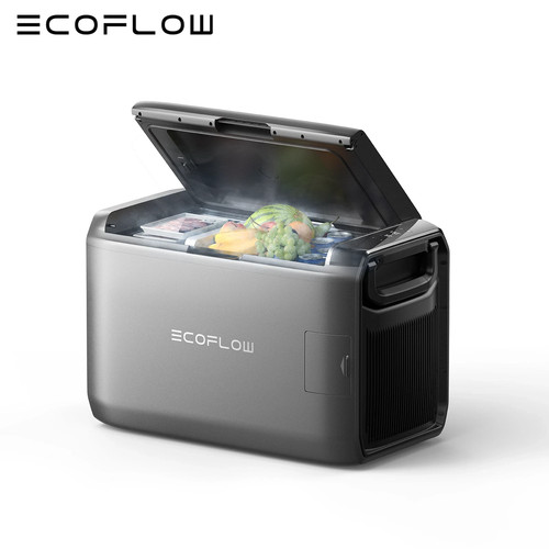 Ecoflow glacier classic 45l - glacier,