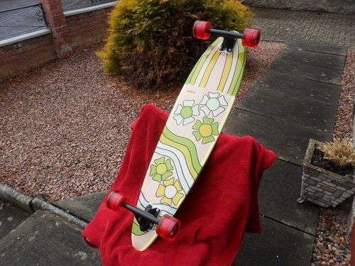 Surfy birdy custom longboard - birdy,