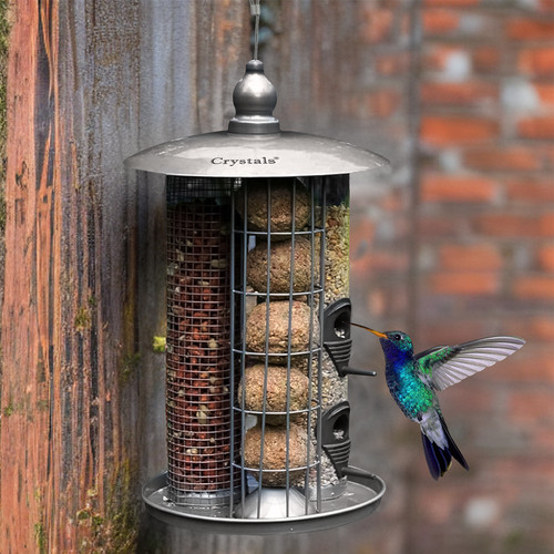 Hanging wild garden bird - hanging,