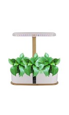Dynaeuty Hydroponics Growing System