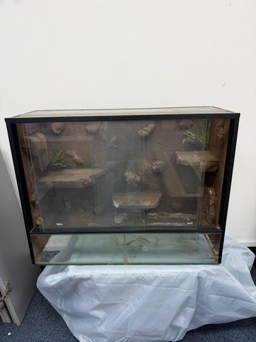 Large glass reptile - glass, terrarium