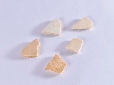 1 x Real Dinosaur Egg Shell